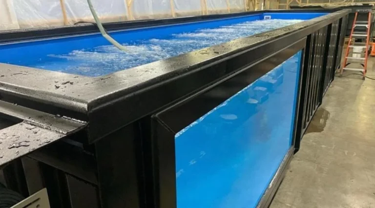 40Ft-Container-Swimming-Pools2-768x426 (1) 40Ft-Container-Swimming-Pools2-768x426 (1)